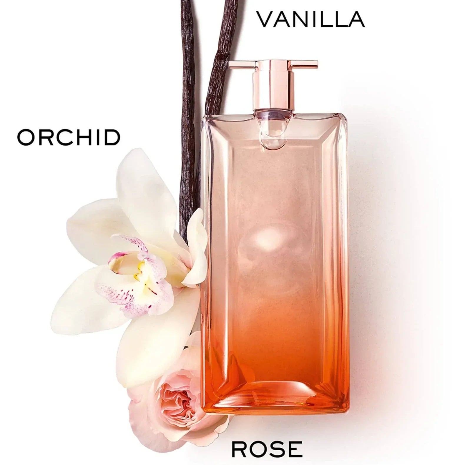 Perfume bottle with orchid, vanilla, and rose elements on a white background