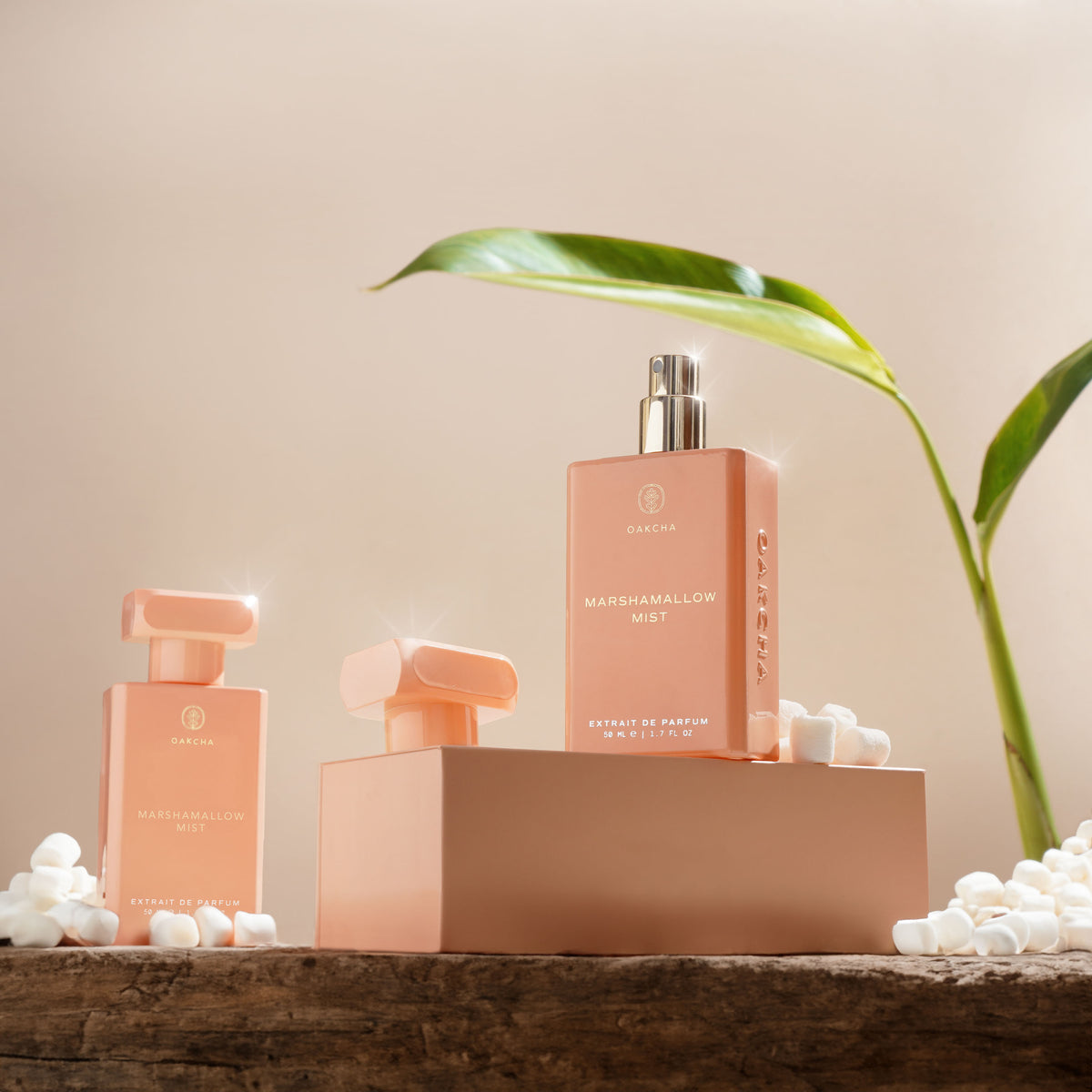 Set of perfume bottles with a plant and decorative elements on a wooden surface.